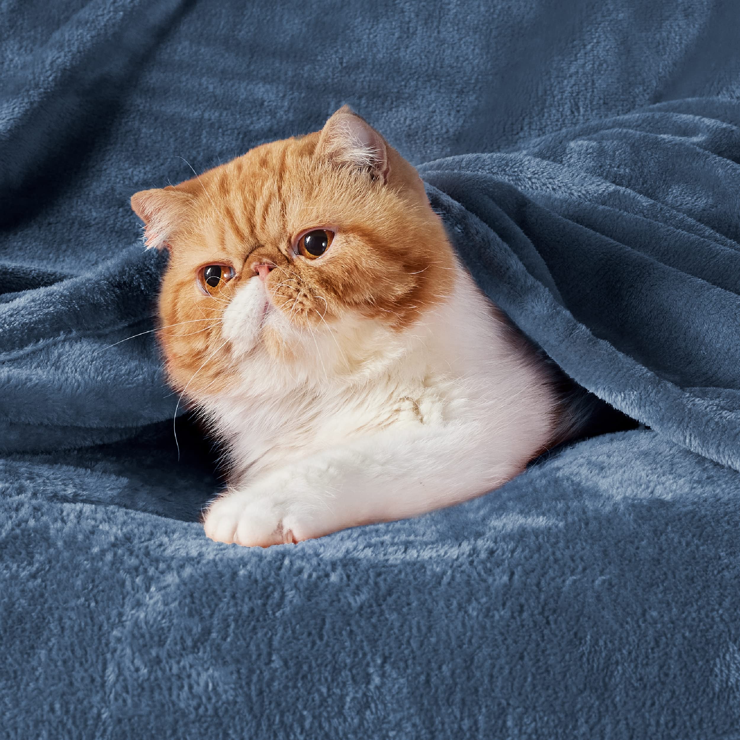 Foto 3 pulgar | Manta Polar Blanket Bedsure Xl, Color Azul Mineral, 300 G/m², 130 X 180 Cm - Venta Internacional.