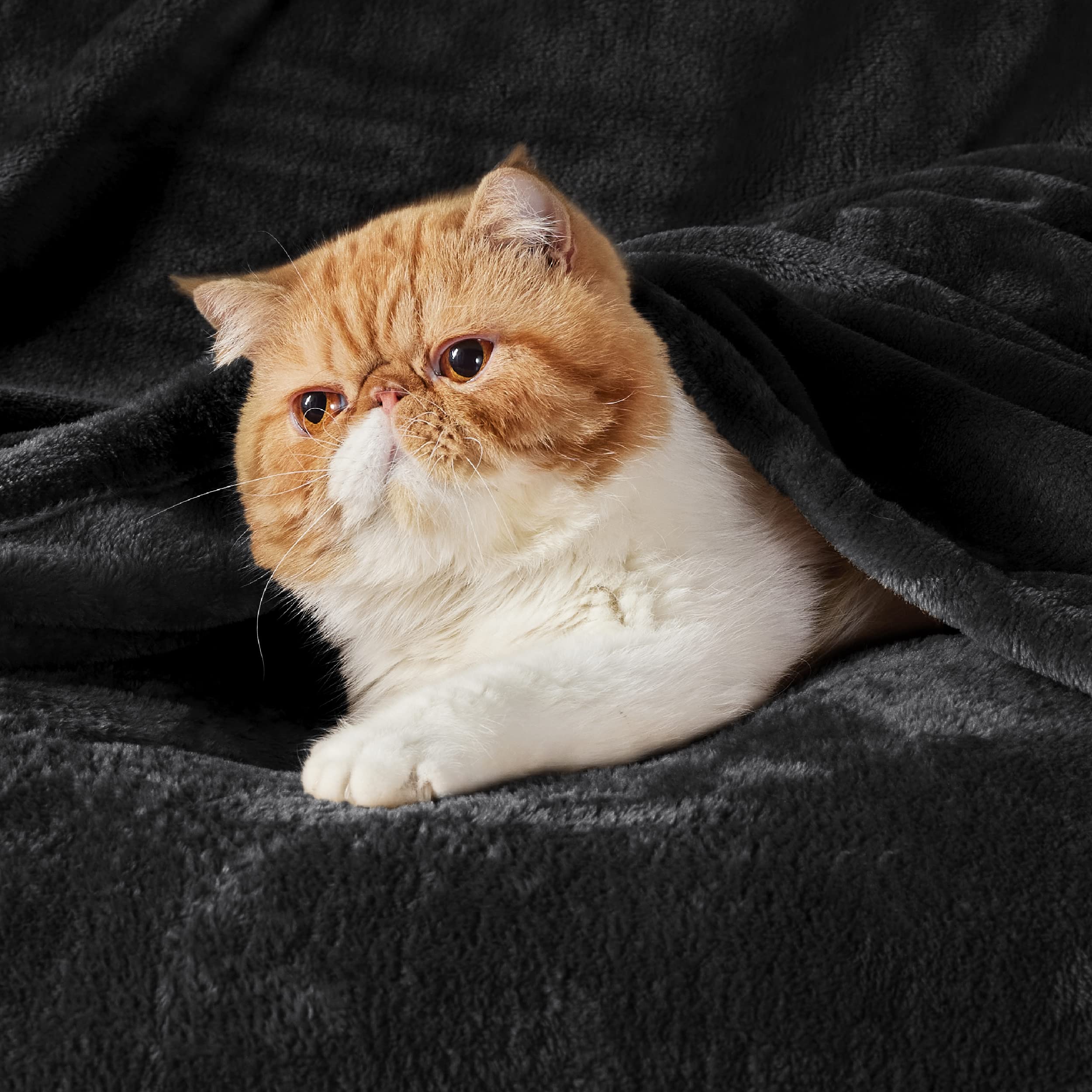 Foto 3 pulgar | Blanket Bedsure Fleece King Size, Forro Polar De Franela Negra - Venta Internacional.