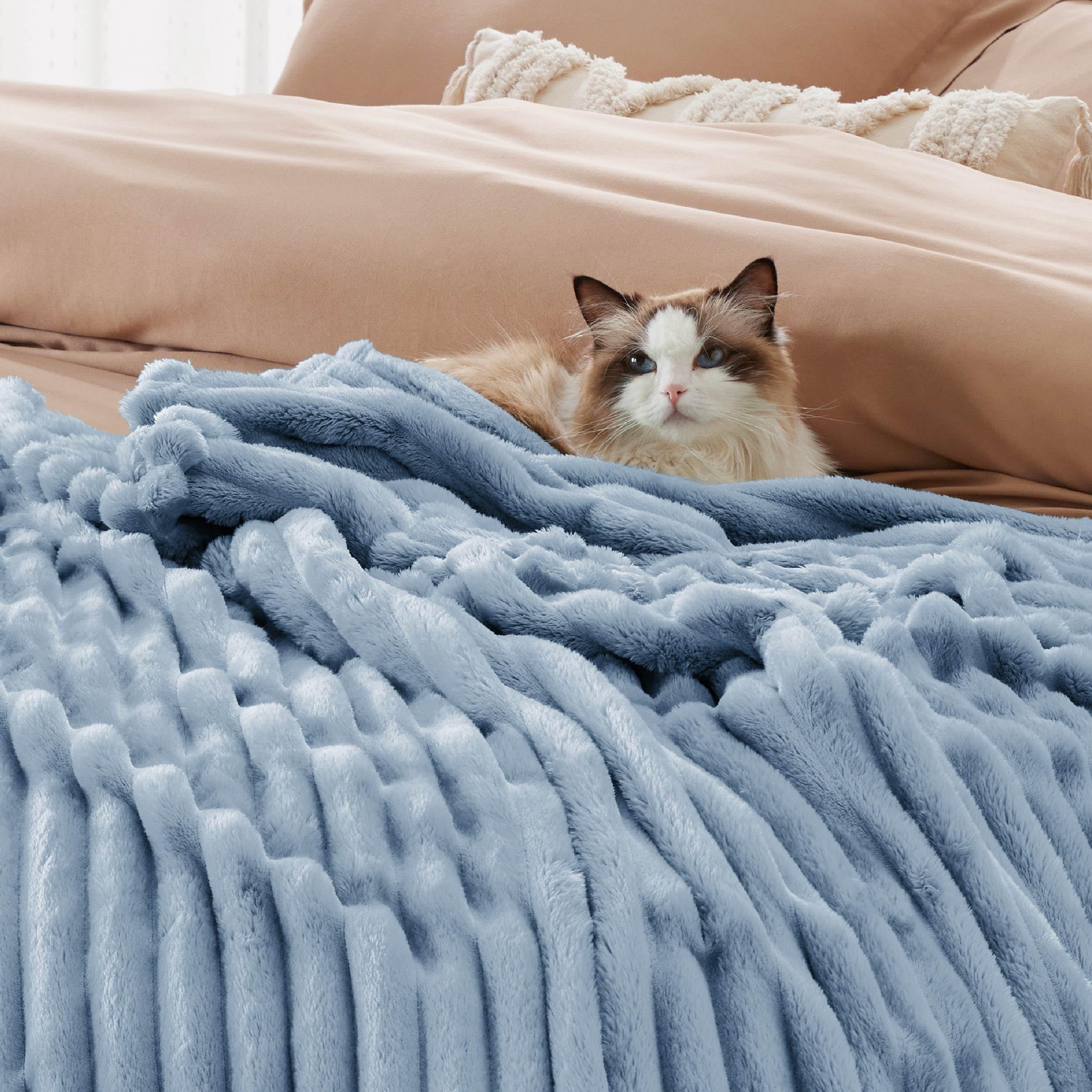 Foto 4 pulgar | Manta Bedsure Queen Gentlesoft Acogedora, Forro Polar De Franela, Azul Ashley - Venta Internacional.