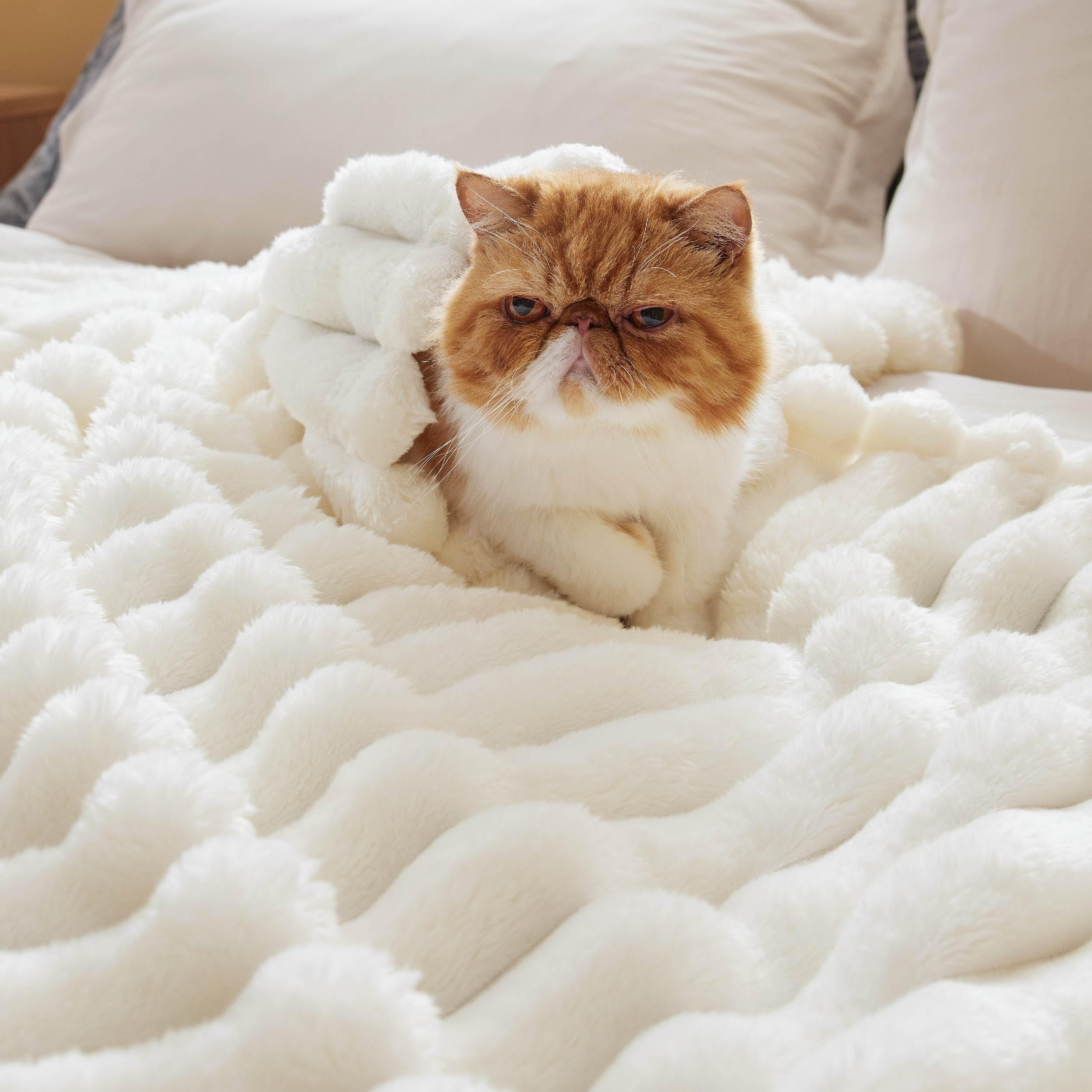 Foto 5 pulgar | Blanket Bedsure Twin, Forro Polar De Franela, Supersuave Y Acogedor, Color Blanco - Venta Internacional.