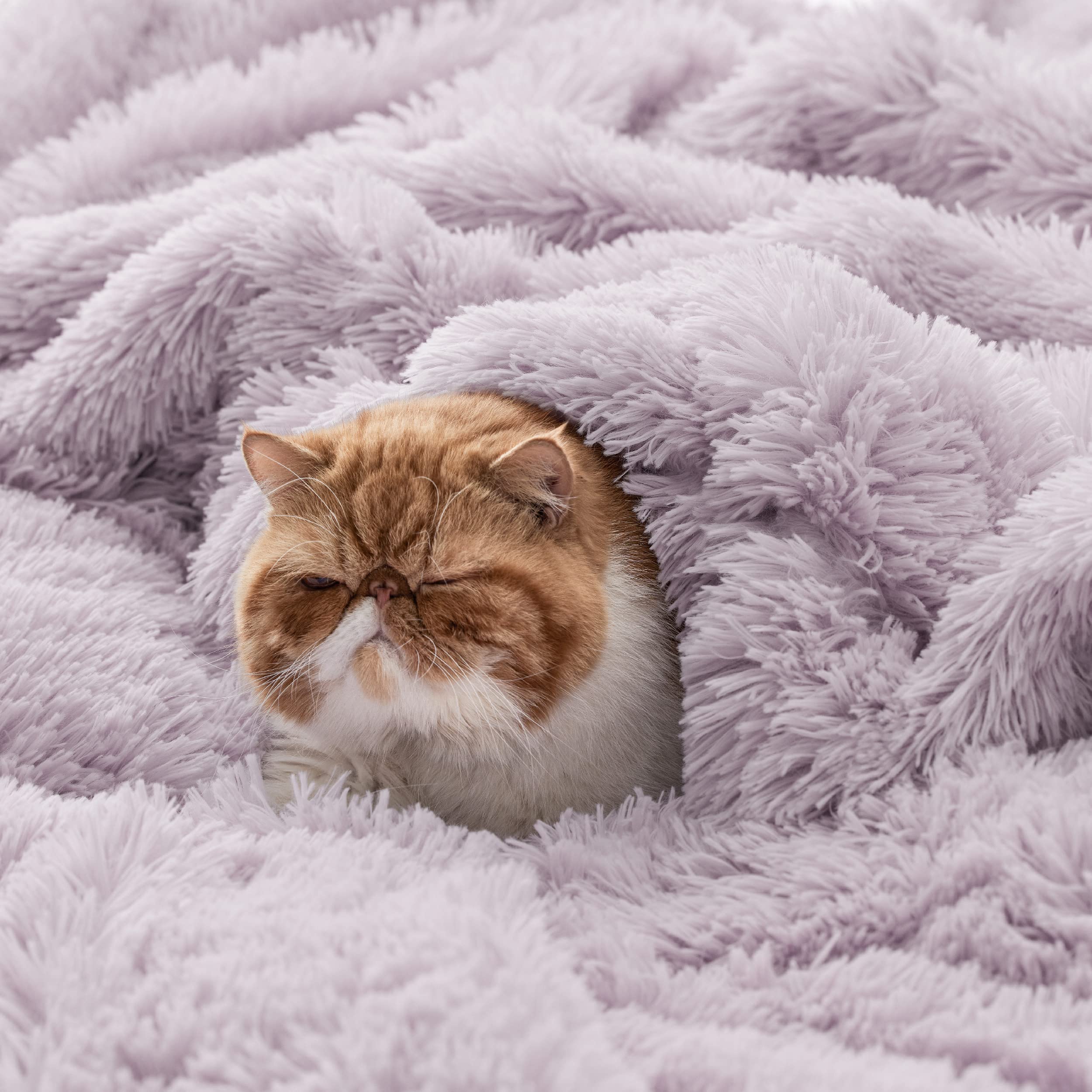 Foto 4 | Manta Bedsure Fluffy Lavanda Púrpura Tamaño Queen - Venta Internacional.