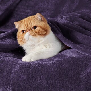 Foto 2 | Manta De Cama, Forro Polar, Tamaño Queen, Color Morado, 230 X 230 Cm, Microfibra - Venta Internacional.