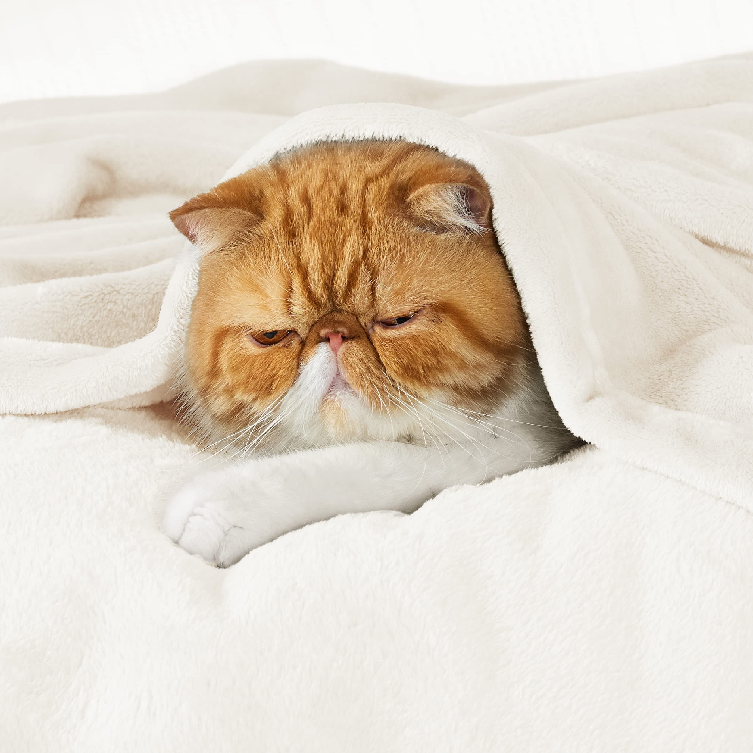 Foto 3 pulgar | Manta Polar Blanket Bedsure Xl, Crema, 300 G/m², Suave, 130 X 180 Cm - Venta Internacional.