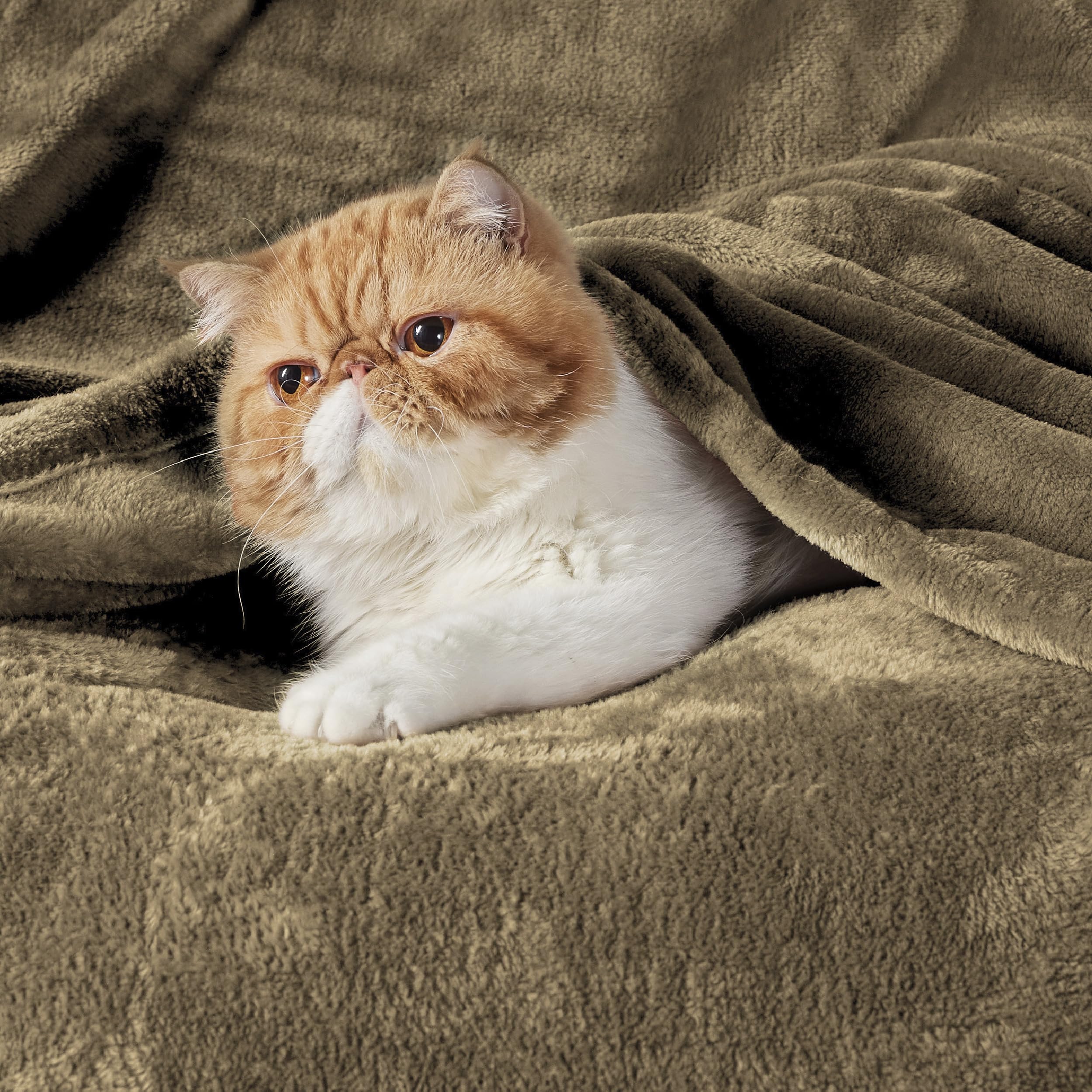 Foto 3 pulgar | Forro Polar Blanket Bedsure, Talla King, Camel, Forro Polar - Venta Internacional.
