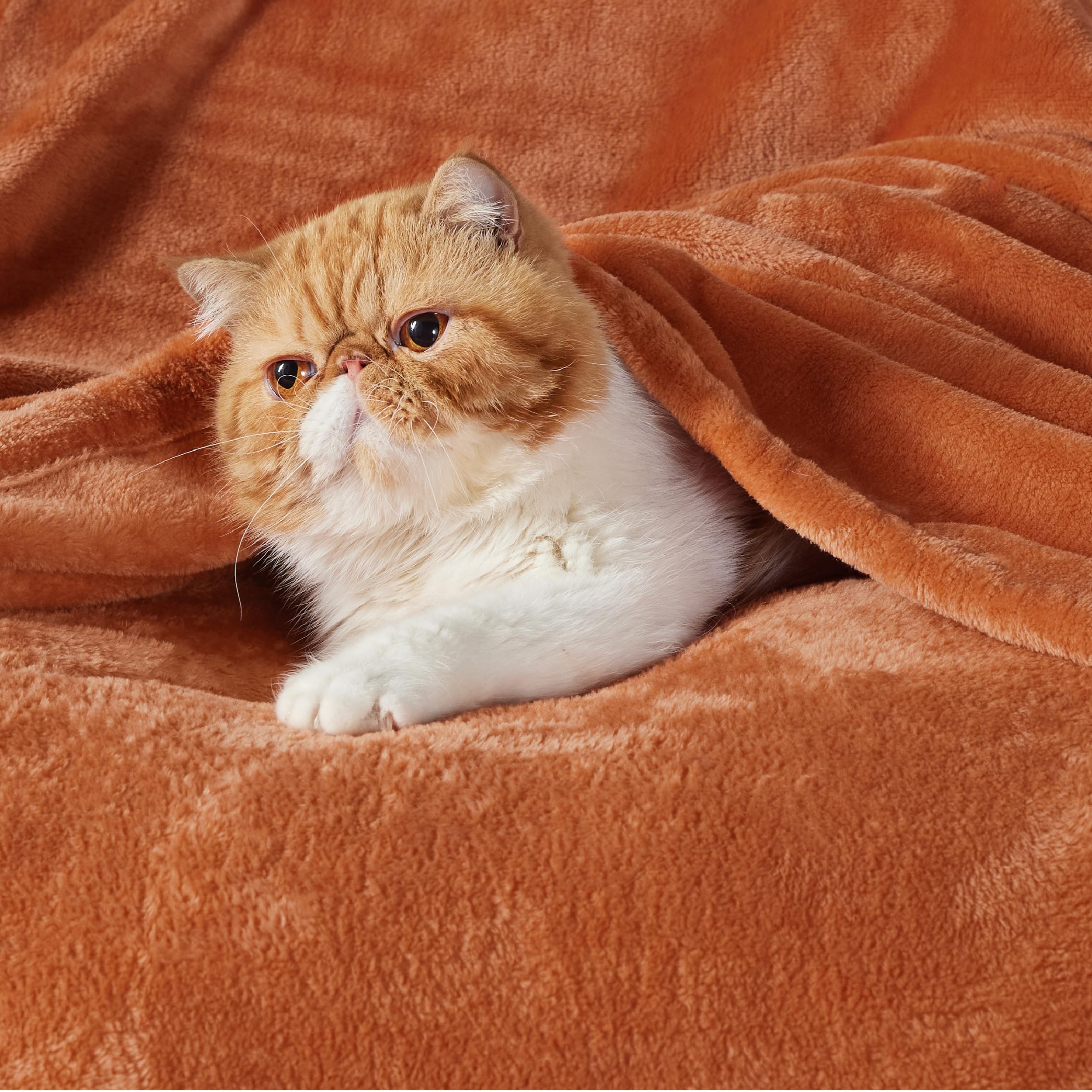Foto 2 | Manta Polar Para Cama, Color Naranja Quemado, 130 X 180 Cm, 300 G/m² - Venta Internacional.