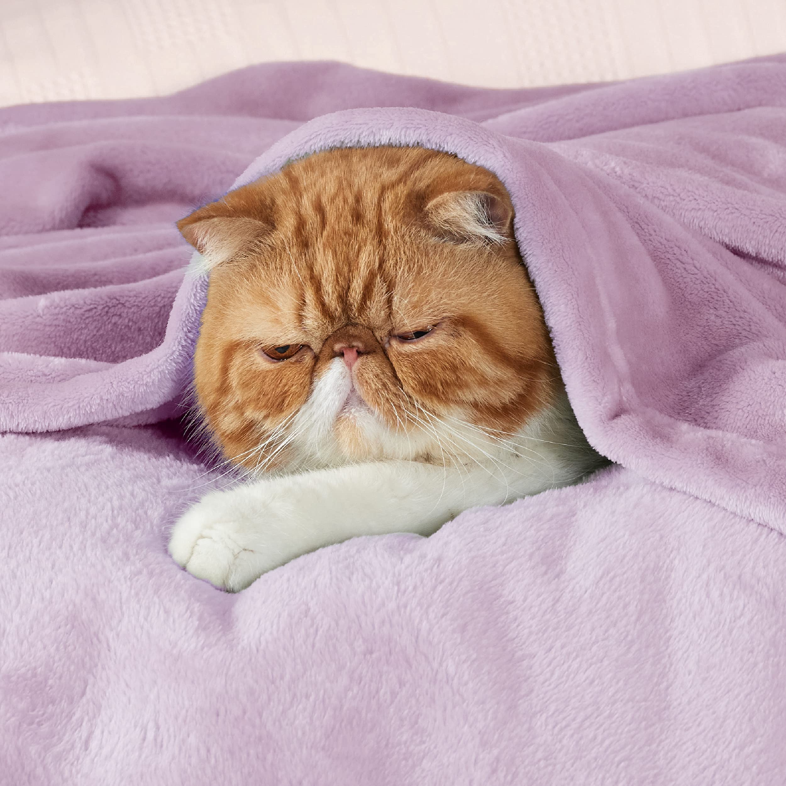 Foto 3 pulgar | Manta Polar Blanket Bedsure Xl, Color Morado Claro, 300 G/m², 130 X 180 Cm - Venta Internacional.
