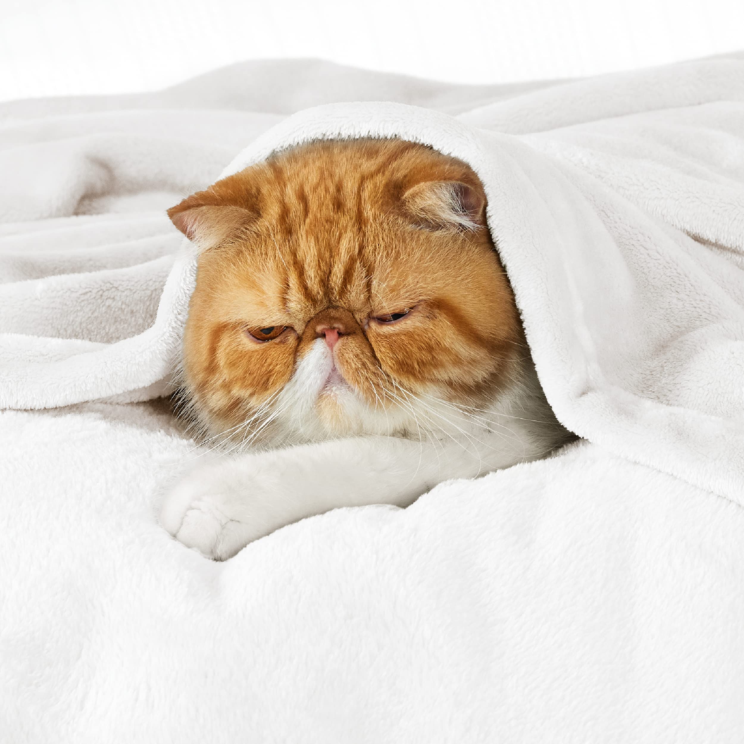 Foto 3 pulgar | Blanket Bedsure Fleece King Size, Forro Polar De Franela Blanca - Venta Internacional.
