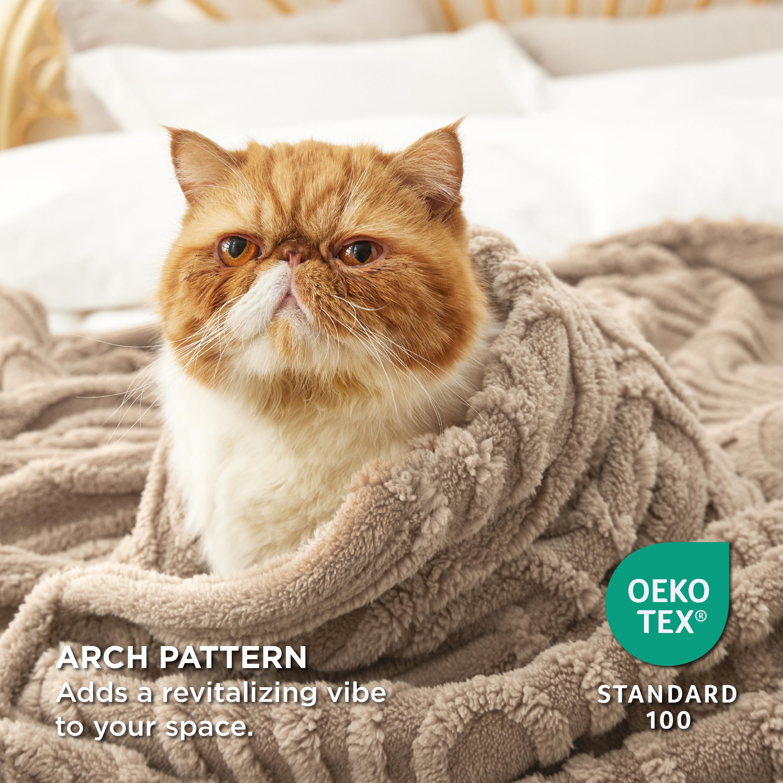 Foto 4 pulgar | Manta Polar Para Cama, Tamaño King, Supersuave Y Acogedora, Color Marrón - Venta Internacional.
