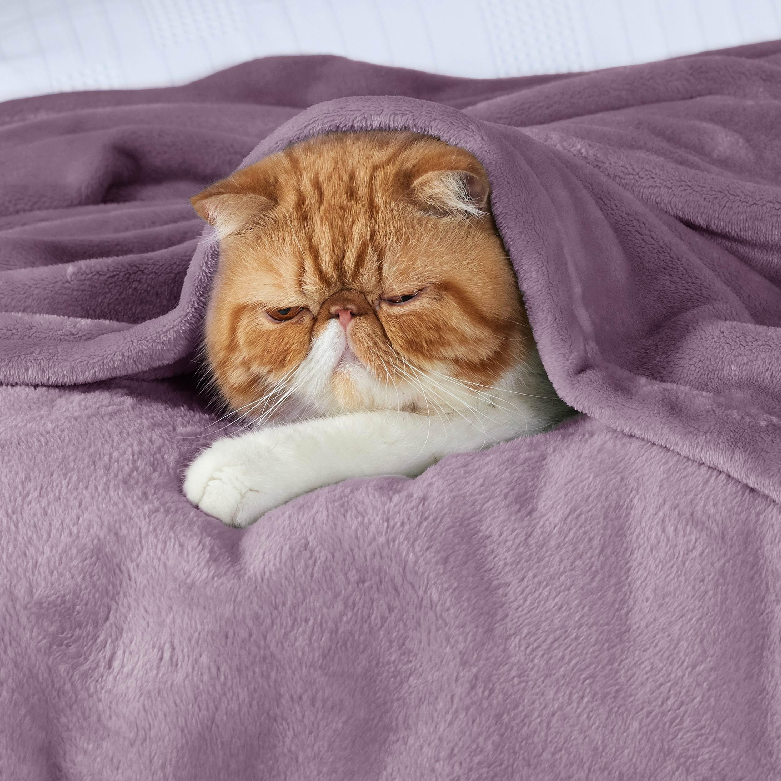Foto 4 pulgar | Manta de Cama con Forro Polar Tamaño Queen Morada - Venta Internacional