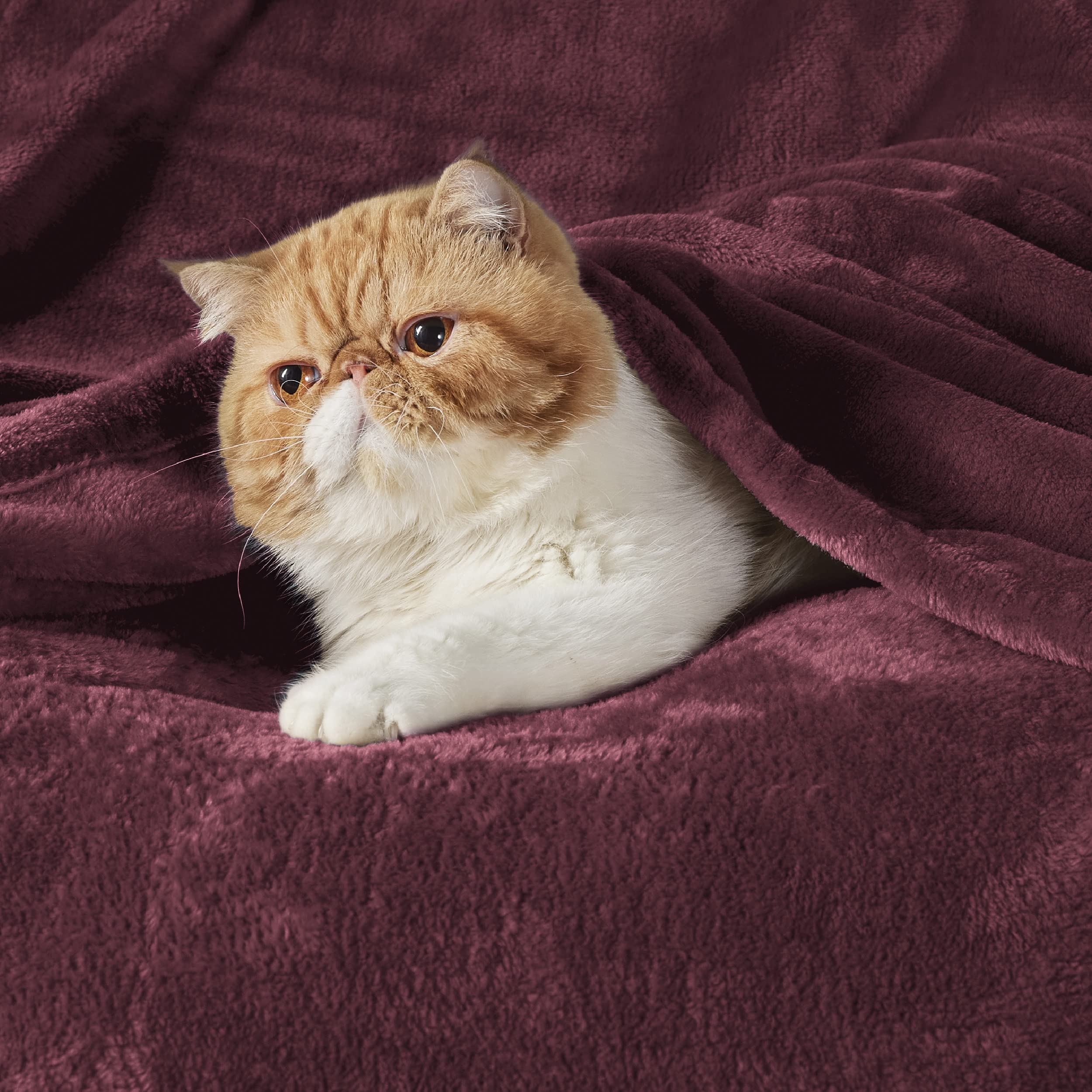 Foto 2 | Manta Polar Para Cama, Color Rojo Burdeos, 130 X 150 Cm, 300 G/m² - Venta Internacional.
