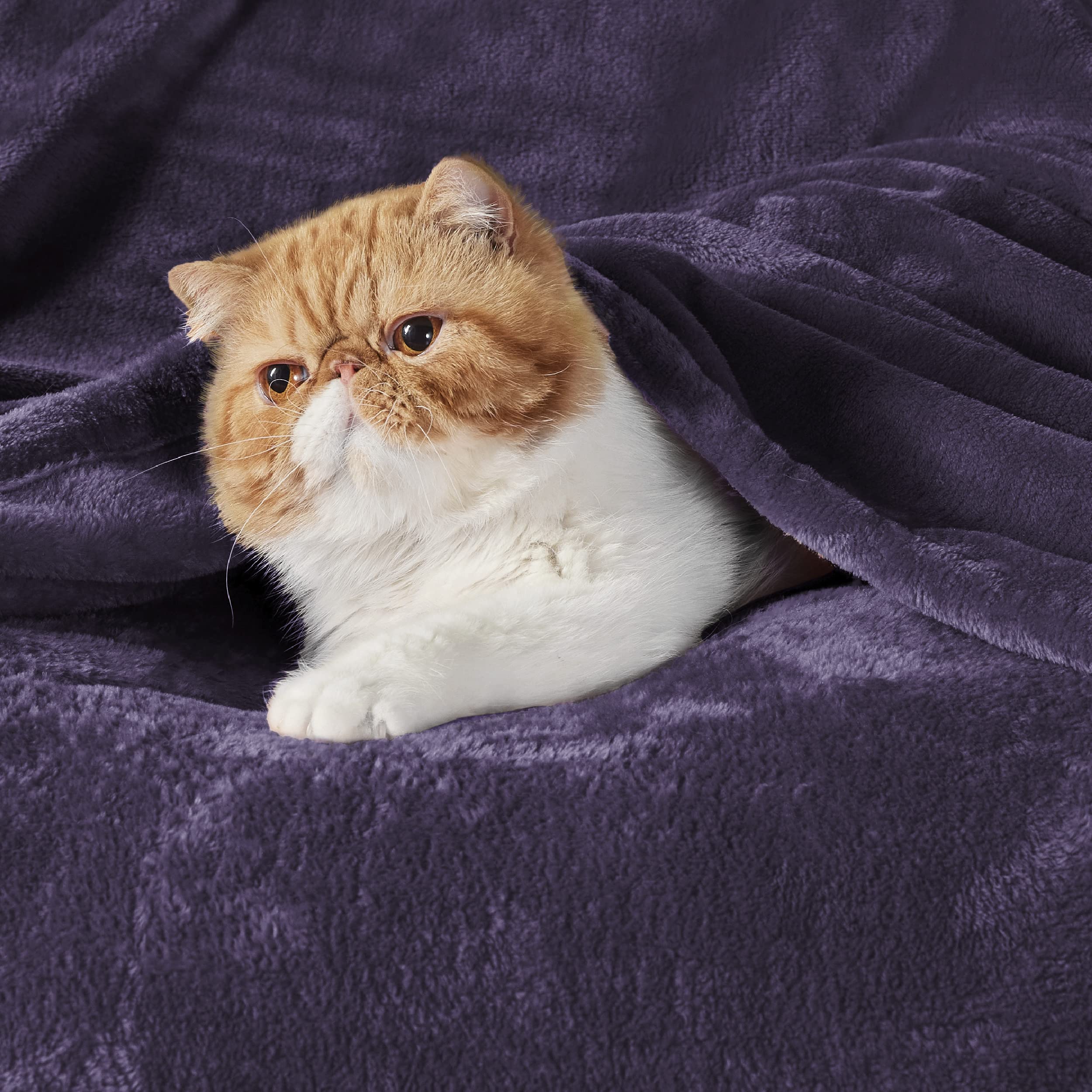Foto 2 | Manta Polar Para Sofá, 130 X 150 Cm, Color Morado, 300 G/m² - Venta Internacional.