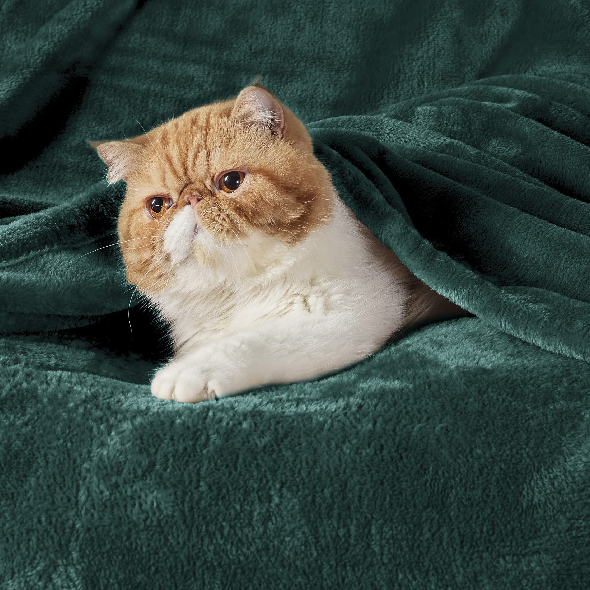 Foto 2 | Manta Polar Para Cama, Color Verde Bosque, 130 X 150 Cm, 300 G/m² - Venta Internacional.