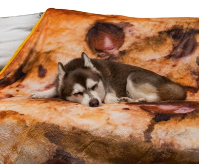 Foto 4 | Manta Redonda De Forro Polar Toynk Con Chispas De Chocolate Y Galletas - Venta Internacional.
