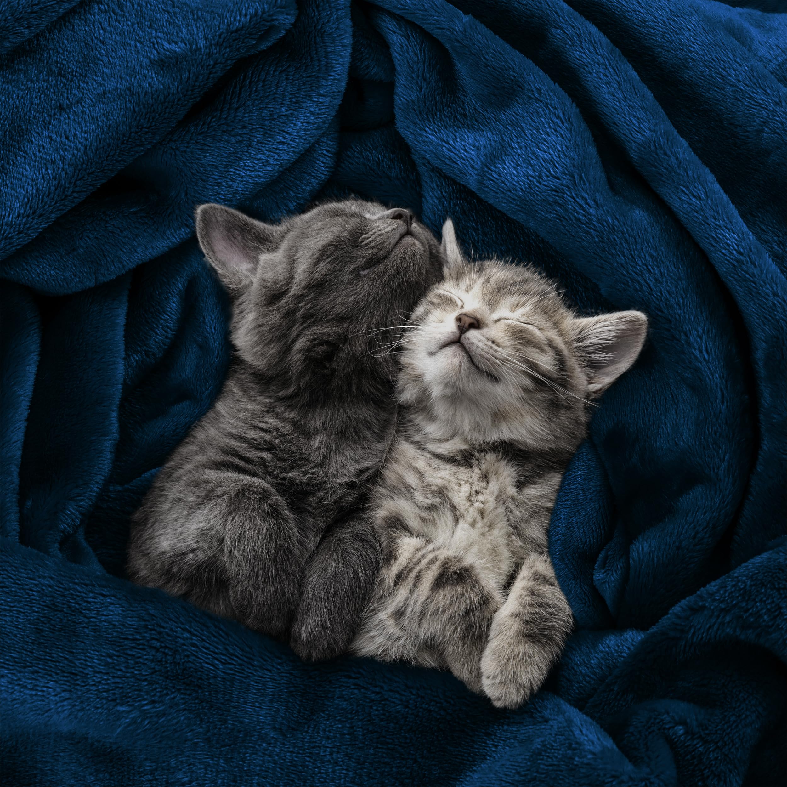 Foto 4 | Cama Polar Blanket Utopia, Tamaño King, Color Azul Marino, 300 G/m², Microfibra - Venta Internacional.