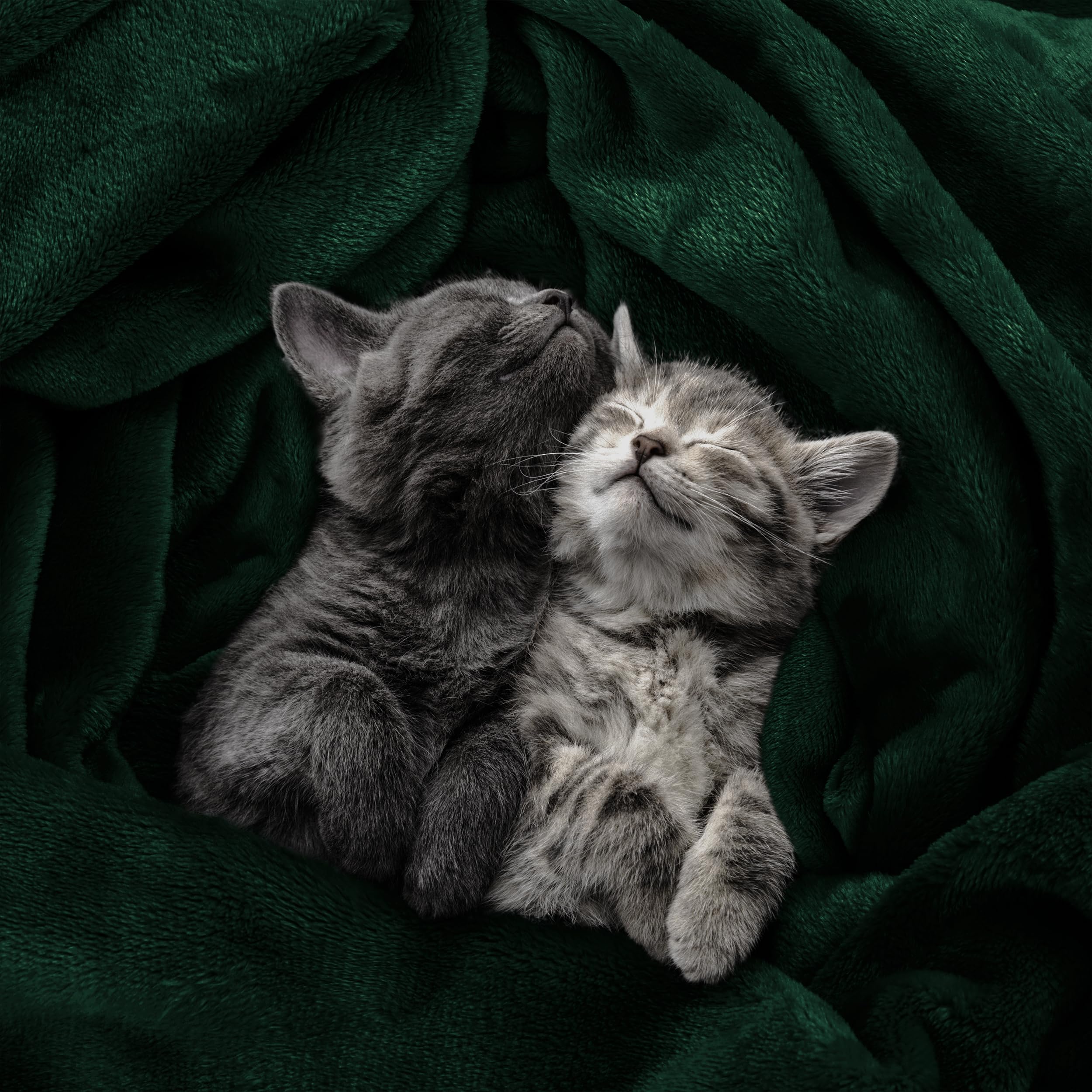 Foto 4 | Cama Polar Blanket Utopia, Tamaño King, Color Verde Bosque, 300 G/m² - Venta Internacional.