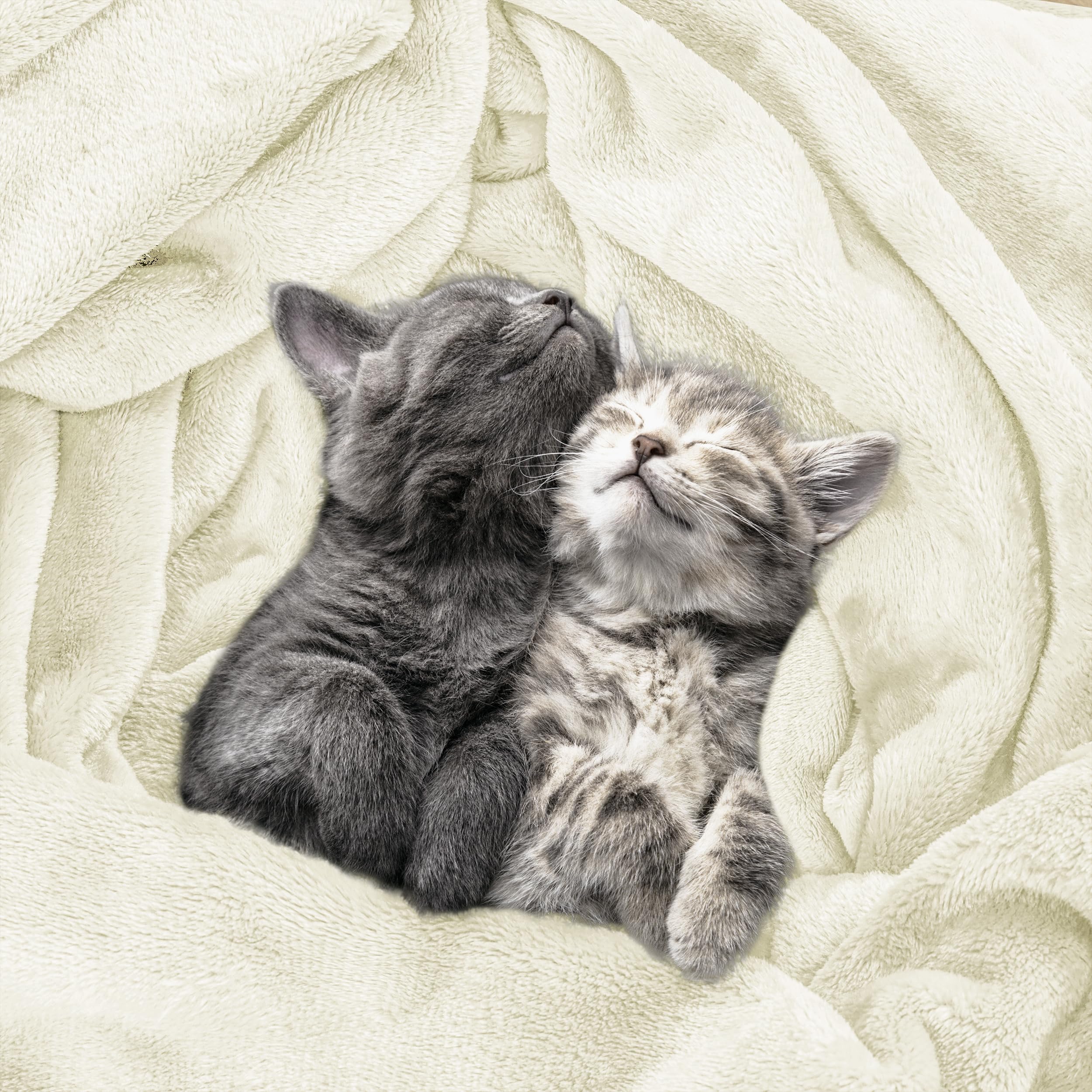 Foto 4 | Cama Polar Blanket Utopia, Tamaño King, Color Marfil, 300 G/m², Microfibra - Venta Internacional.