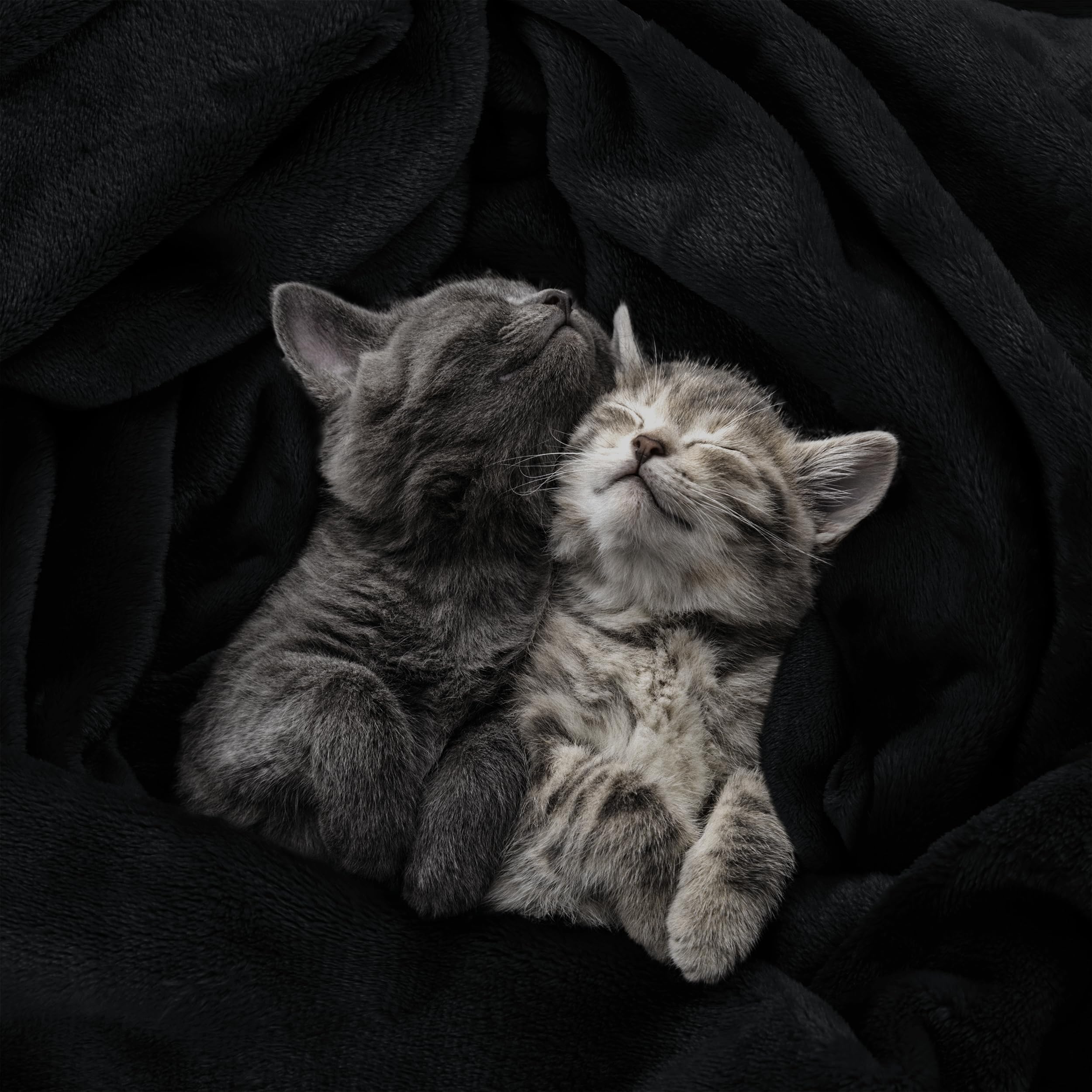 Foto 4 | Cama Polar Blanket Utopia, Tamaño King, Color Negro, 300 G/m², Microfibra - Venta Internacional.