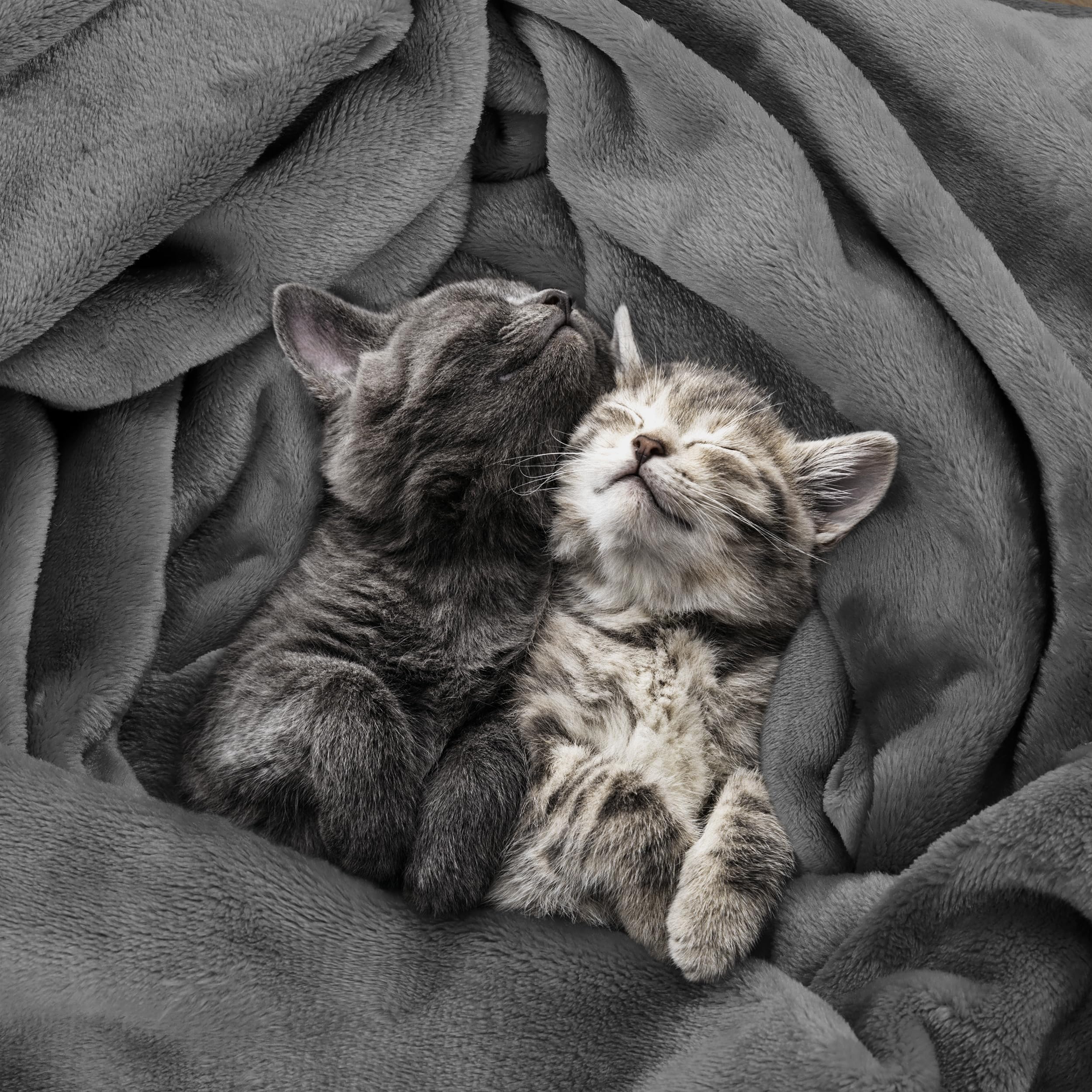 Foto 4 | Cobija Utopia Bedding Forro Polar Gris King Size - Venta Internacional