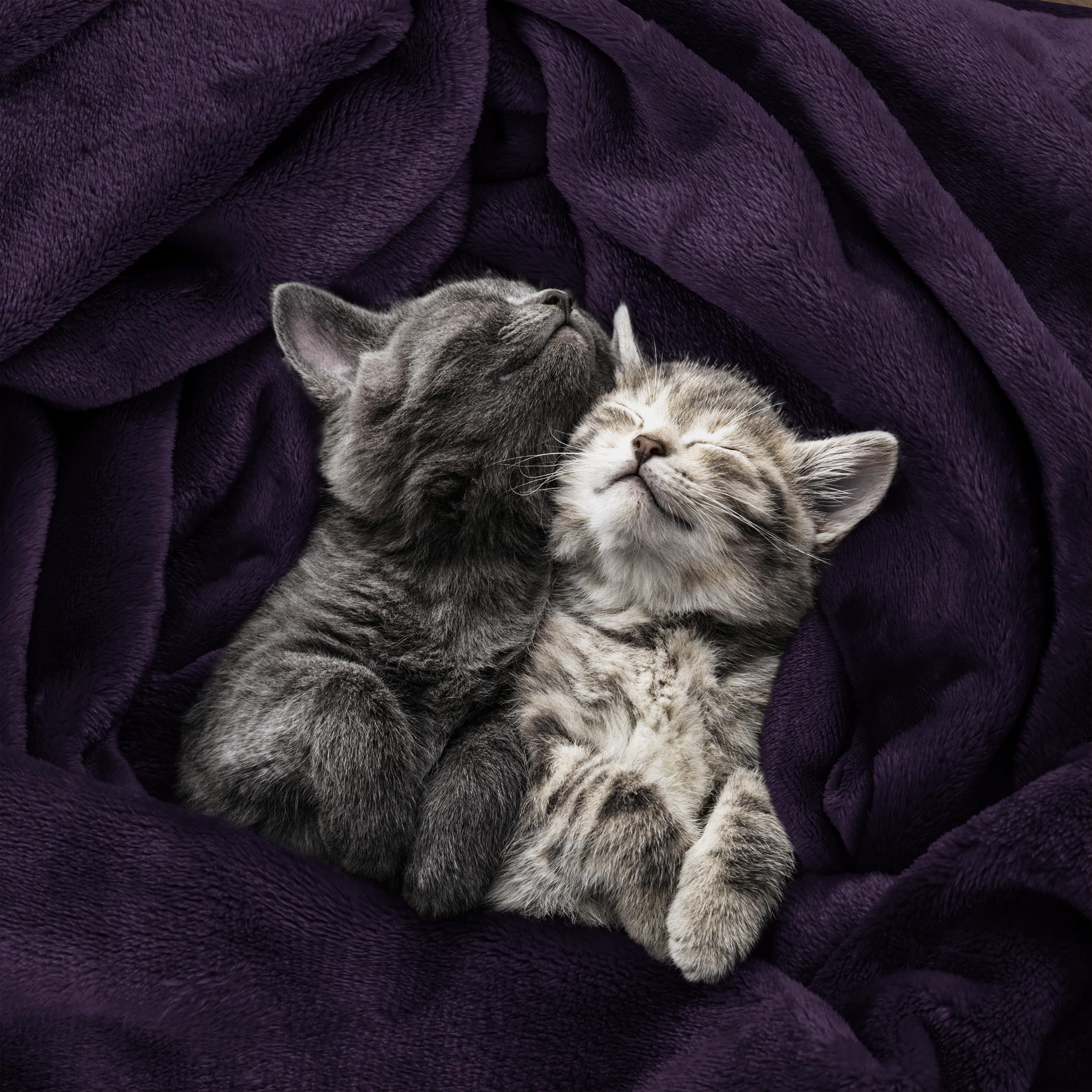 Foto 5 pulgar | Cobija Blanket Utopia Polar Doblen Morado - Venta Internacional