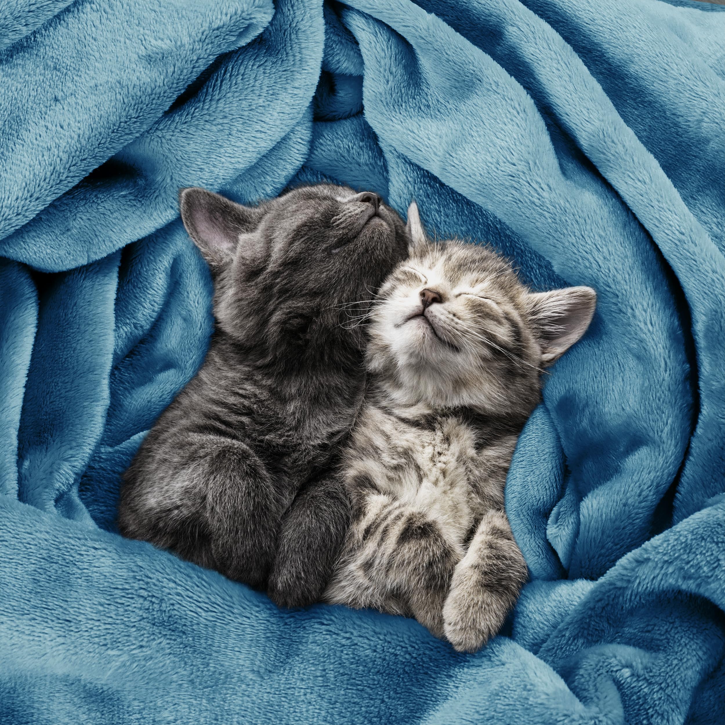Foto 4 | Cama Polar Blanket Utopia, Tamaño Queen, Azul Lavado, 300 G/m² - Venta Internacional.