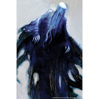 Foto 1 | Cubierta Decorativa Para Ventana Rubie's Harry Potter Dementors - Venta Internacional.