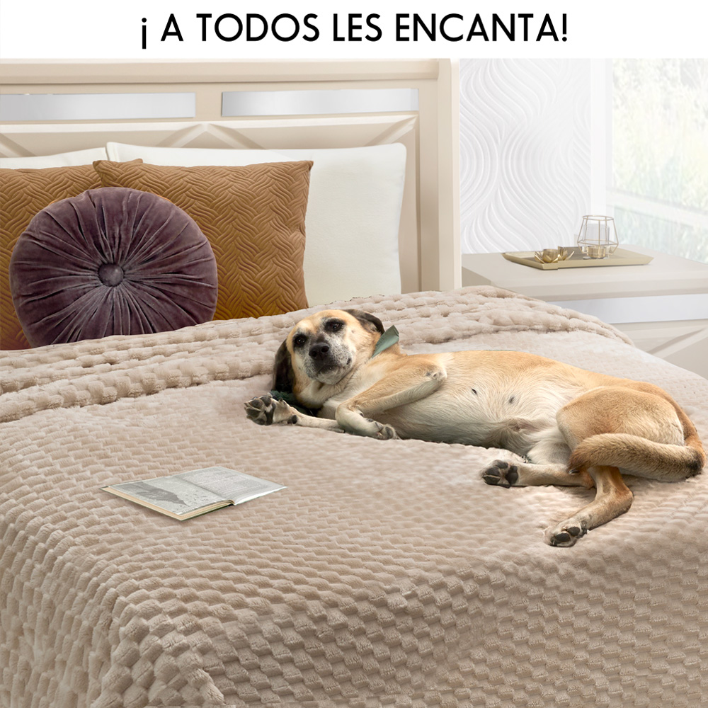 Foto 5 | Frazada Térmica Beige