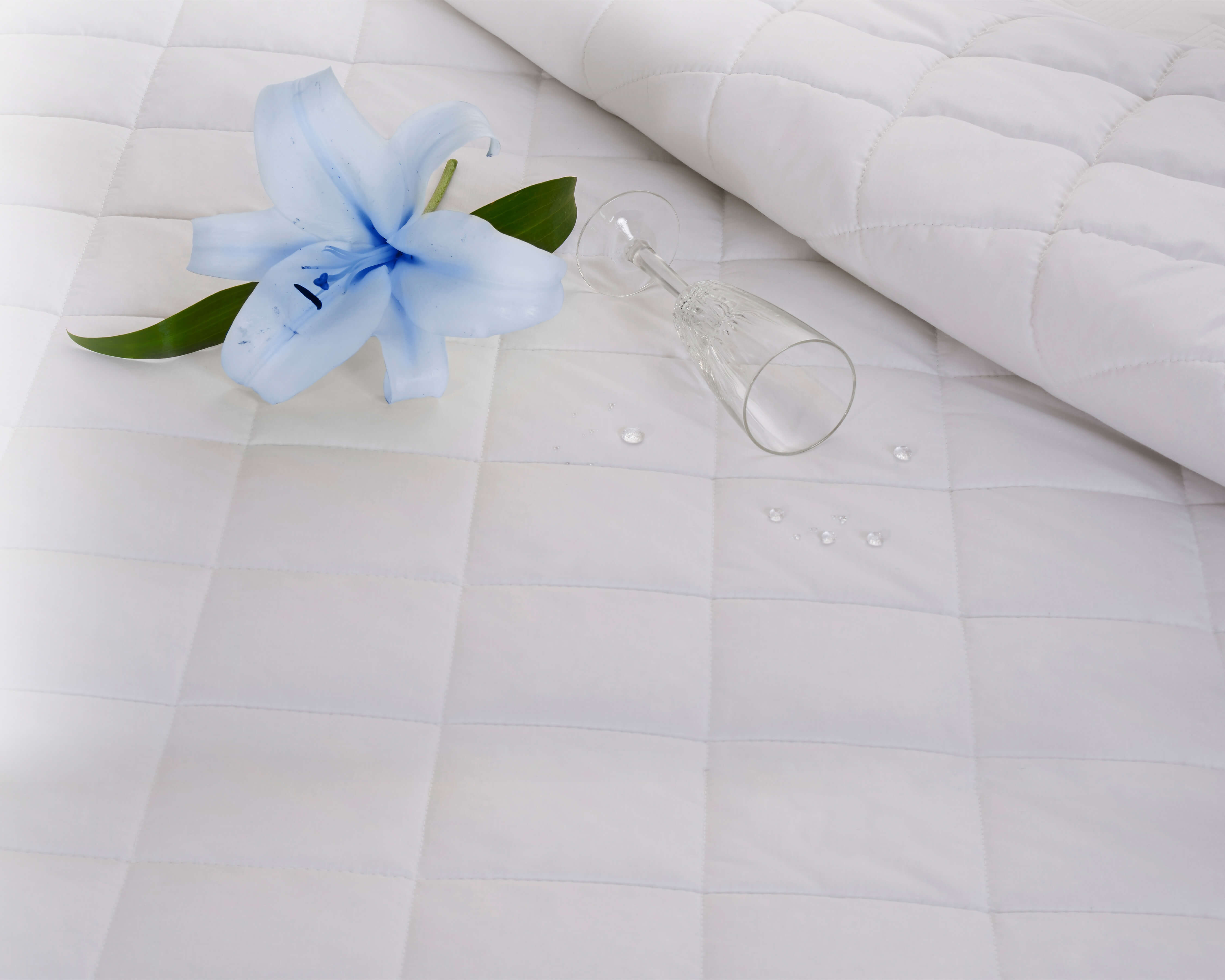 Foto 5 | Protector de Colchón Sealy Confidence King Size color Blanco