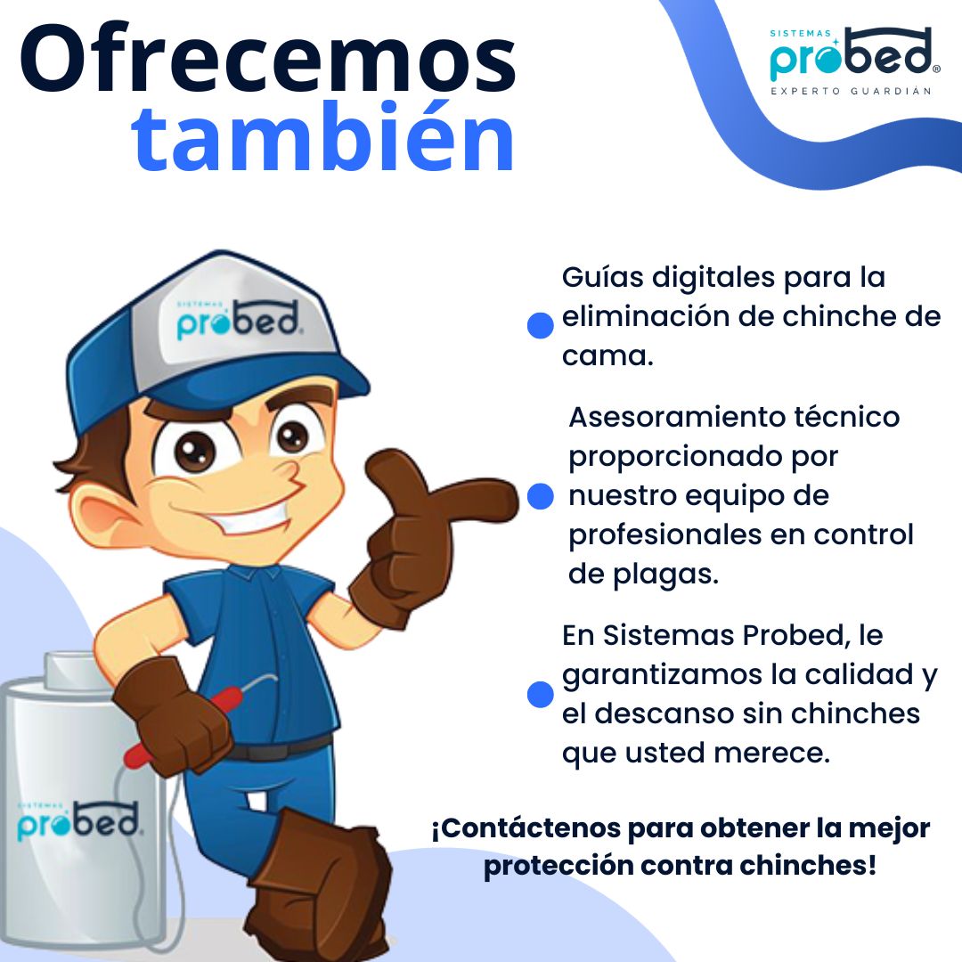 Foto 7 | Protector Anti Chinches De Colchón Queen Size