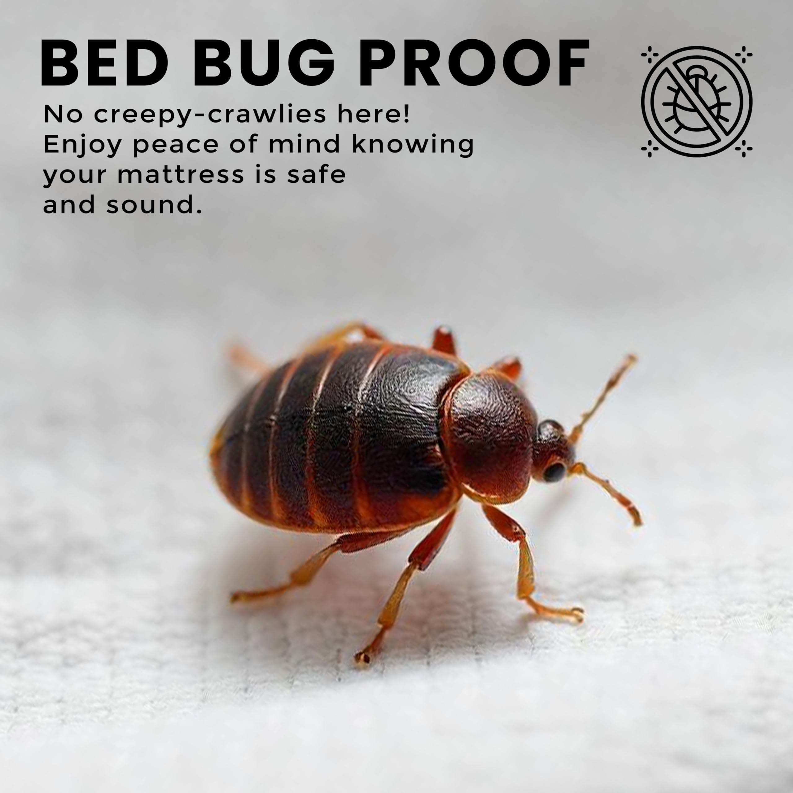 Foto 5 pulgar | Funda De Colchón Utopia Bedding Premium Impermeable Bed Bug - Venta Internacional.