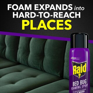 Foto 3 | Espray Espumoso Para Chinches Insecticide Raid 490 Ml Para Uso En Interiores - Venta Internacional.