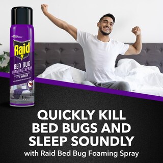 Foto 7 | Espray Espumoso Para Chinches Insecticide Raid 490 Ml Para Uso En Interiores - Venta Internacional.