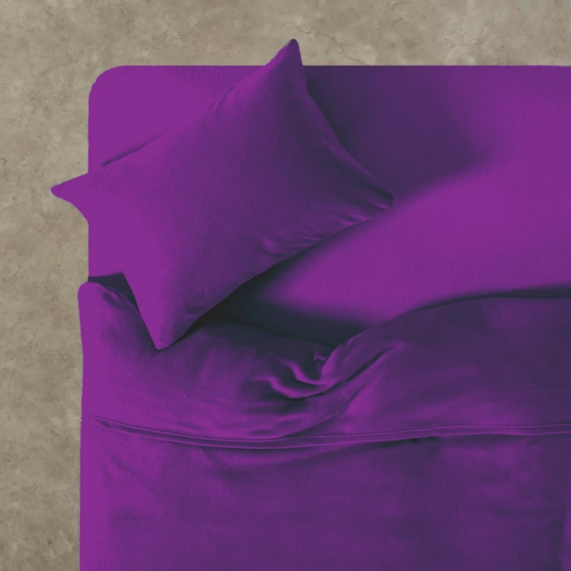 Foto 2 | Juego De Sábanas Polar Saves 2.0 (queen) Game Purple Polyester - Venta Internacional.