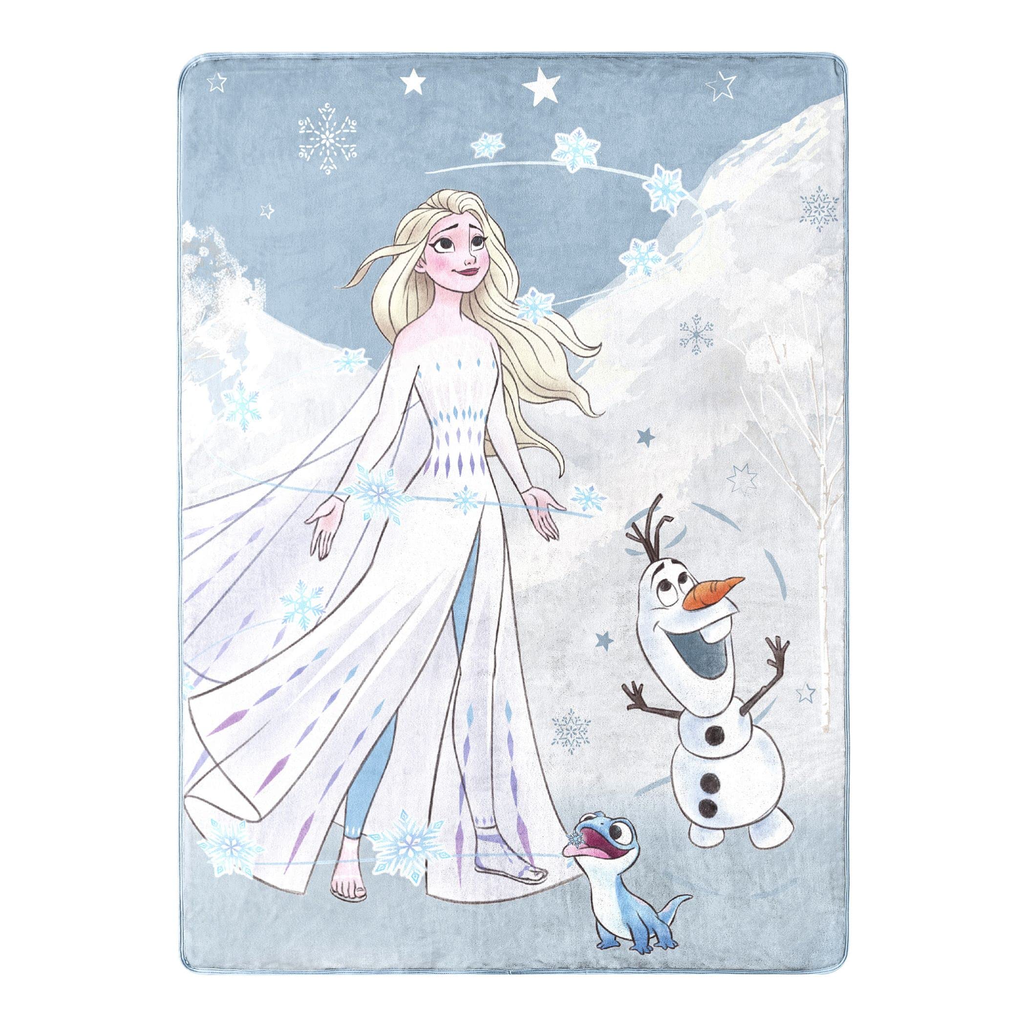 Venta Internacional - Manta Northwest Frozen Silk Touch 46 X 60 Cm $1,451