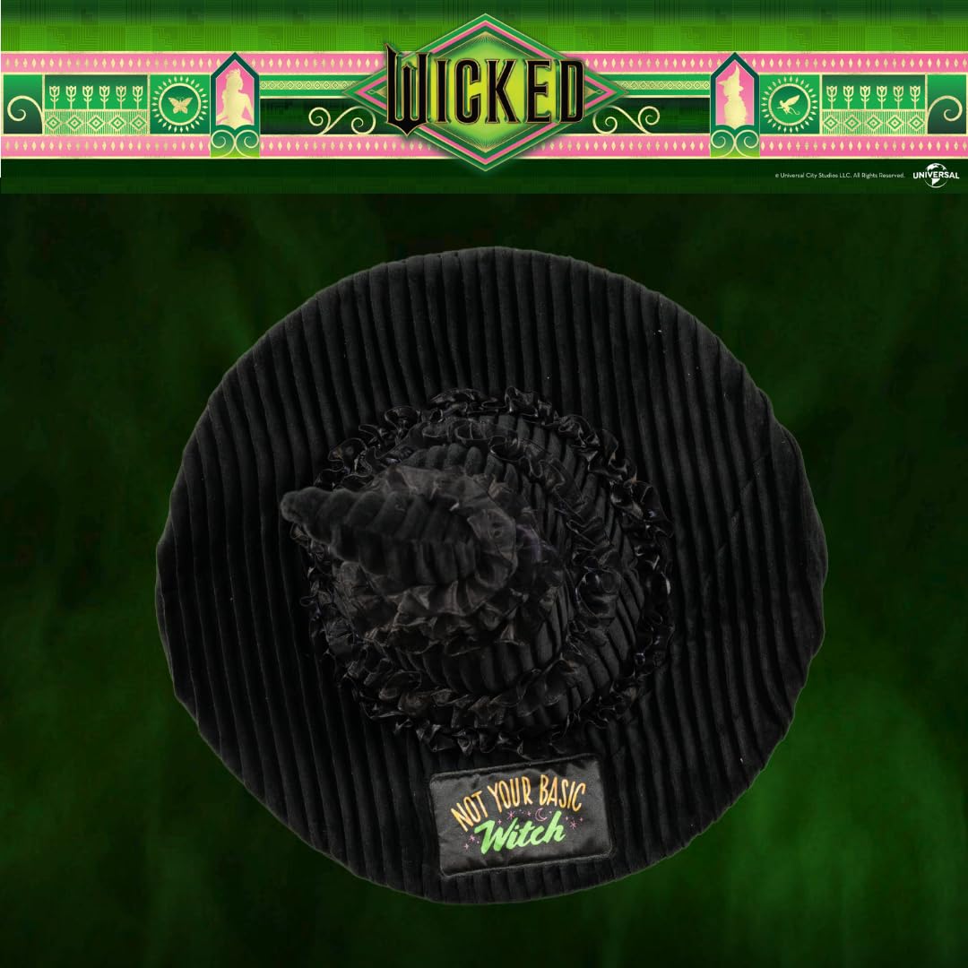 Foto 5 pulgar | Cojín Decorativo Franco Collectibles Wicked Elphaba - Venta Internacional.