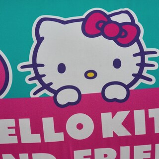 Foto 6 | Almohada Súper Jumbo Hello Kitty Friends