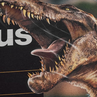 Foto 7 | Almohada Súper Jumbo Jurassic World Rex