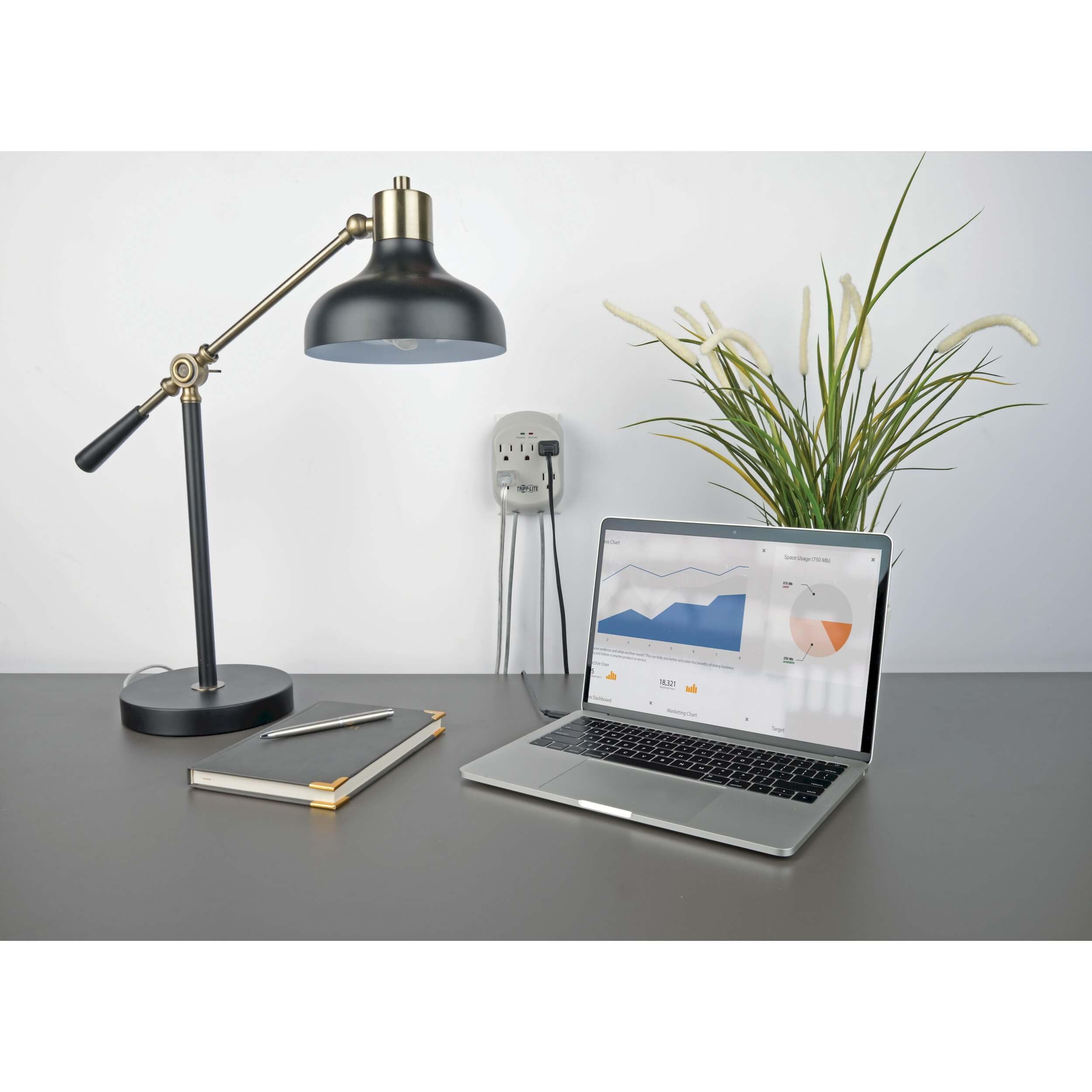 Foto 4 pulgar | Protector Contra Sobretensiones Power Strip Tripp Lite De 5 Enchufes Con Cable De 25 Pies - Venta Internacional.