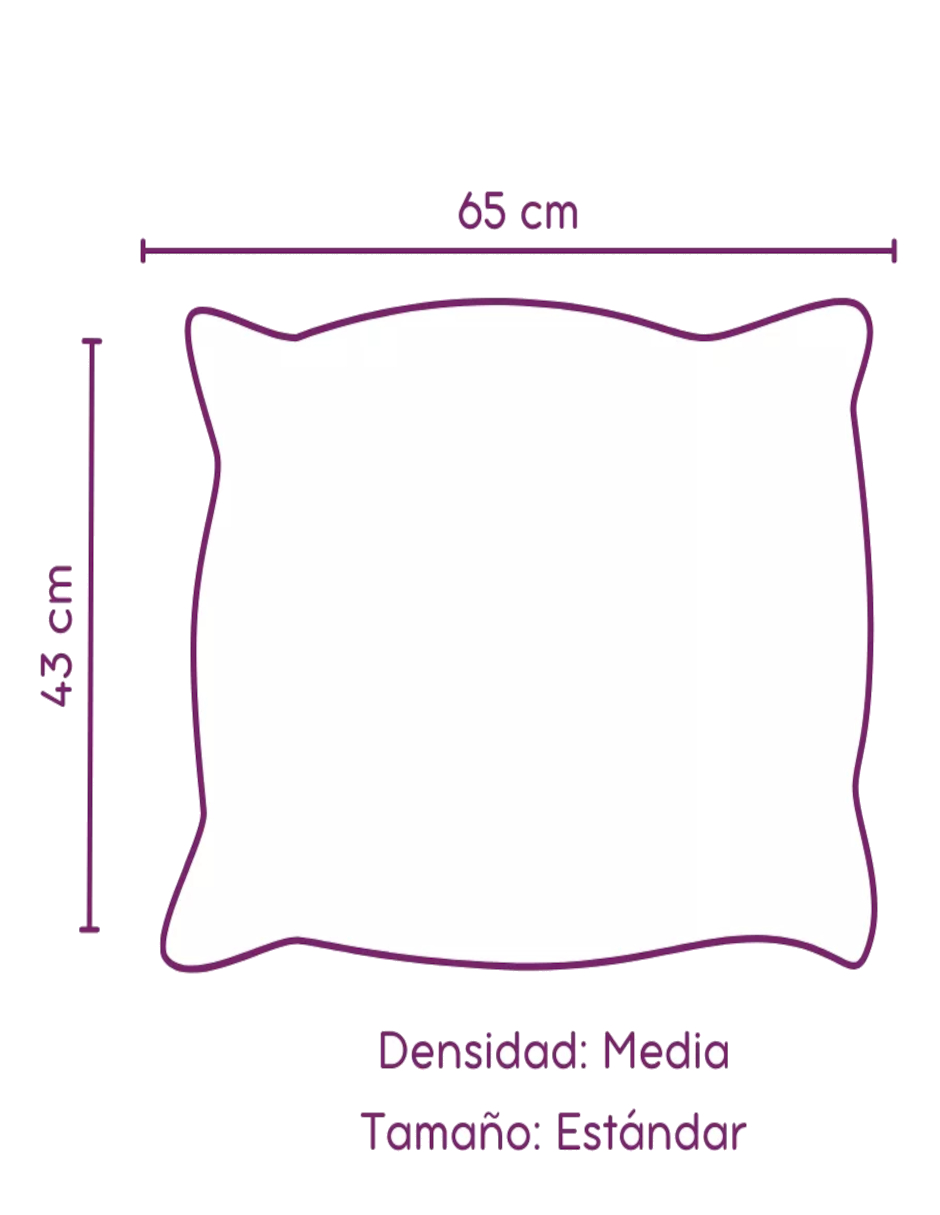 Foto 6 pulgar | Almohada Estándar 2pzas + Termo De Agua De Regalo Güish
