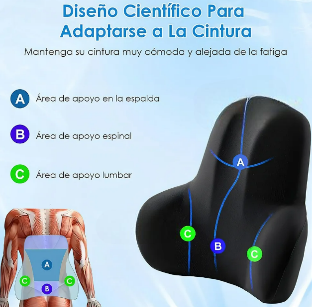 Foto 4 pulgar | Xtellar Cojín Lumbar Premium Con Espuma De Memoria - Confort Superior Para Hogar  Coche Y Oficina