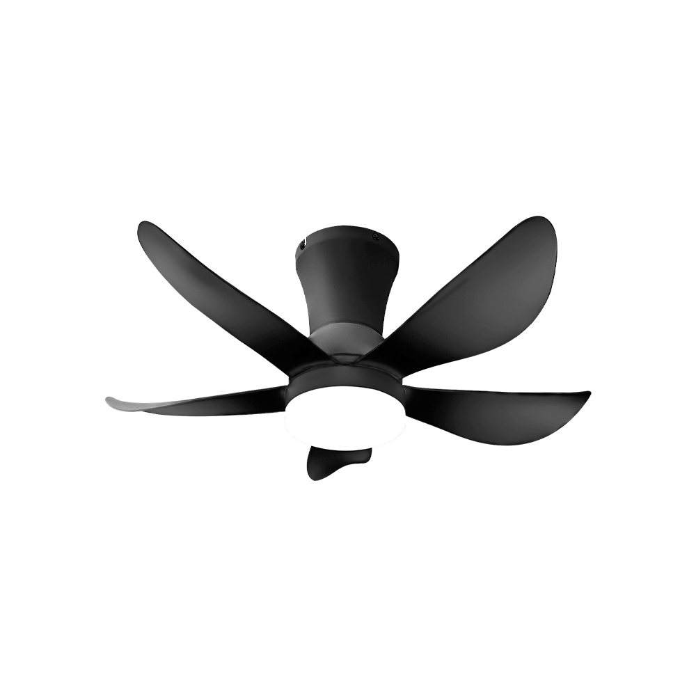 Mil Luces Ventilador Floris 30w Ng