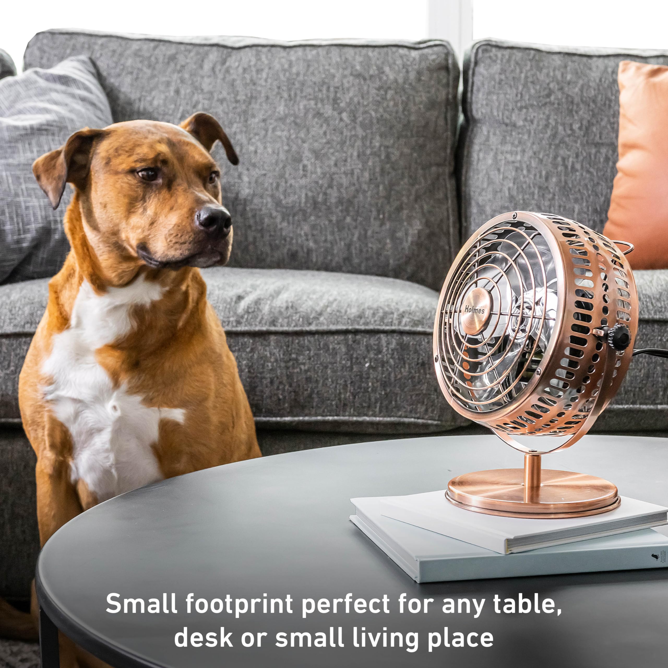 Foto 4 | Ventilador De Mesa Holmes 6 Heritage, 2 Velocidades Y 4 Aspas, Cobre Cepillado - Venta Internacional.