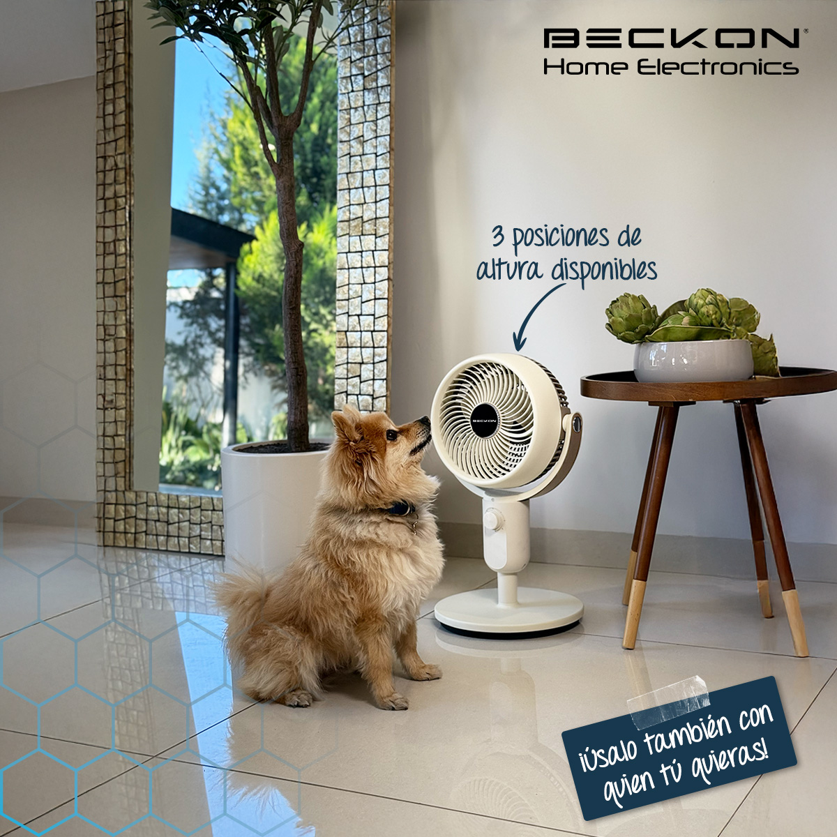 Foto 7 | Ventilador De Pedestal Decorativo Premium Beckon Bv-45star Alta Potencia 27cm De Diámetro 3 Posiciones De Altura Os