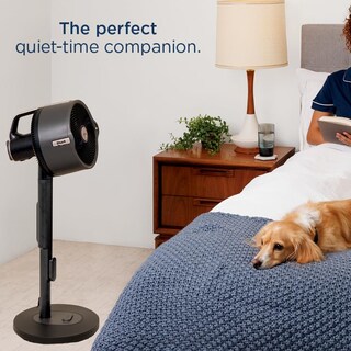 Foto 5 | Ventilador Mist Shark Flexbreeze Pro Para Interiores Y Exteriores, Color Gris Antracita - Venta Internacional.