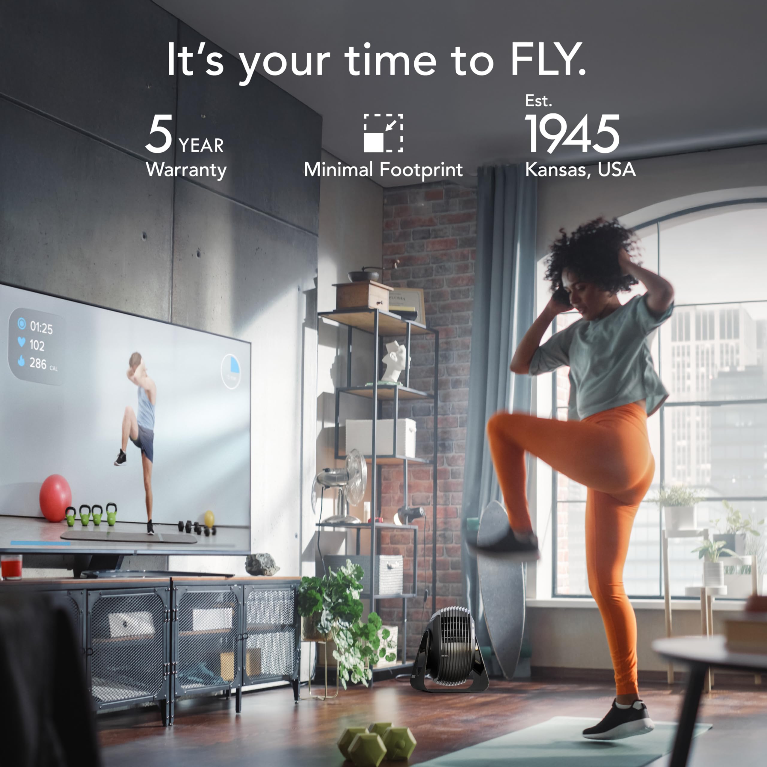 Foto 3 | Ventilador De Fitness Vornado Fly Max High Velocity Con Mando A Distancia Negro - Venta Internacional.