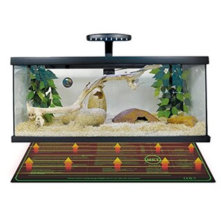 Foto 7 | Alfombrilla Térmica Para Plántulas Hidropónicas Ipower De 20 X 20 Cm Con Termostato - Venta Internacional.