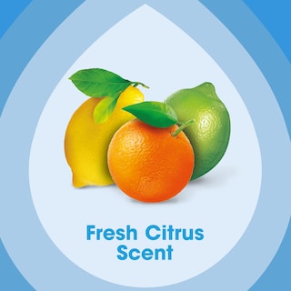 Foto 6 | Toallitas Pulimentadoras Para Muebles Pledge Multi-surface Fresh Citrus 100 - Venta Internacional.
