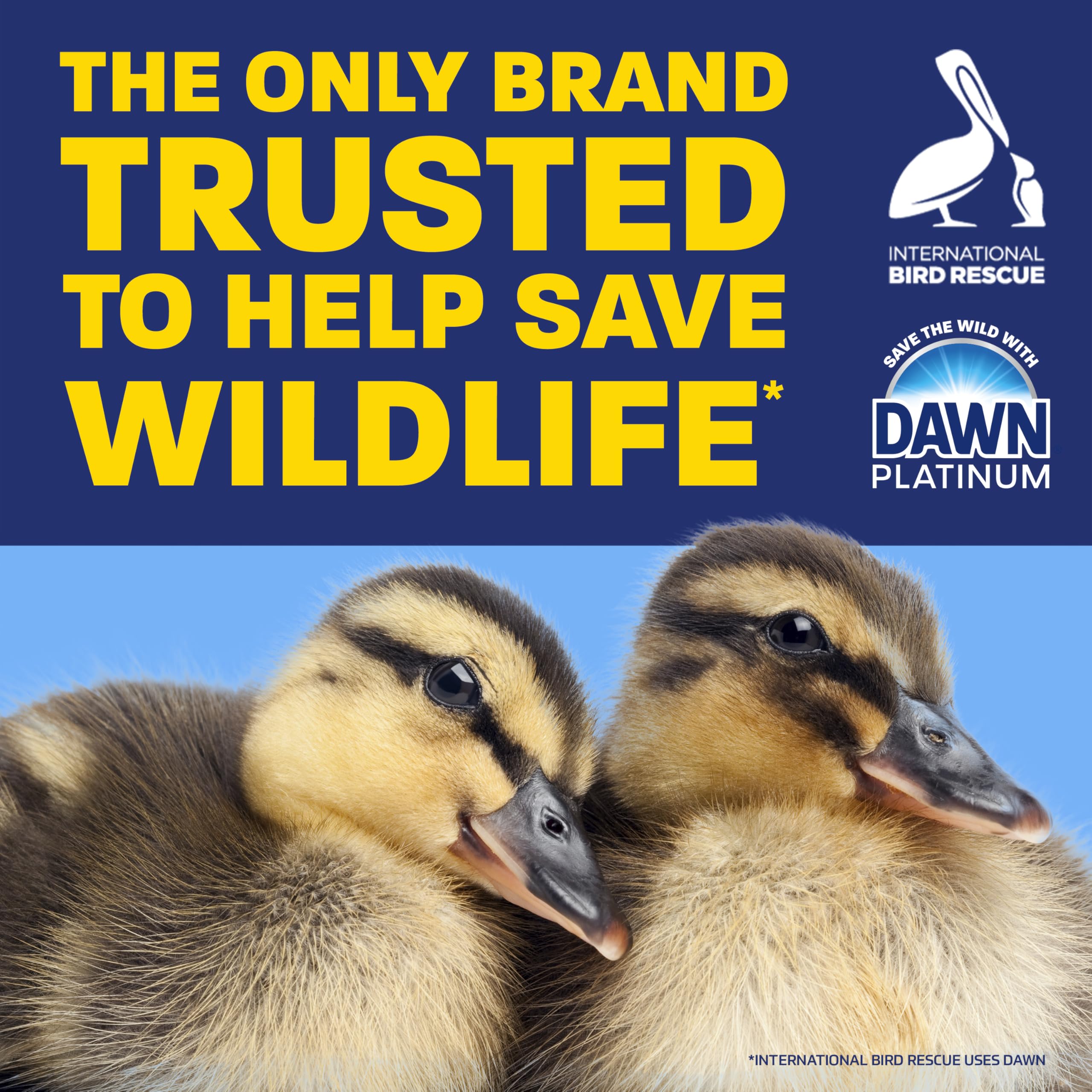 Foto 5 pulgar | Jabón Para Platos Dawn Platinum Ez-squeeze Wild Jasmine 540 Ml X6 - Venta Internacional.