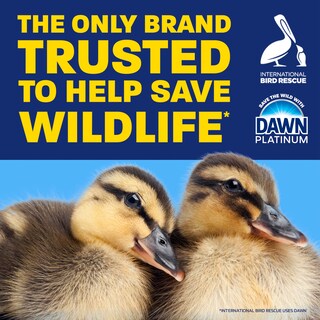 Foto 4 | Jabón Para Platos Dawn Platinum Ez-squeeze Wild Jasmine 540 Ml X6 - Venta Internacional.