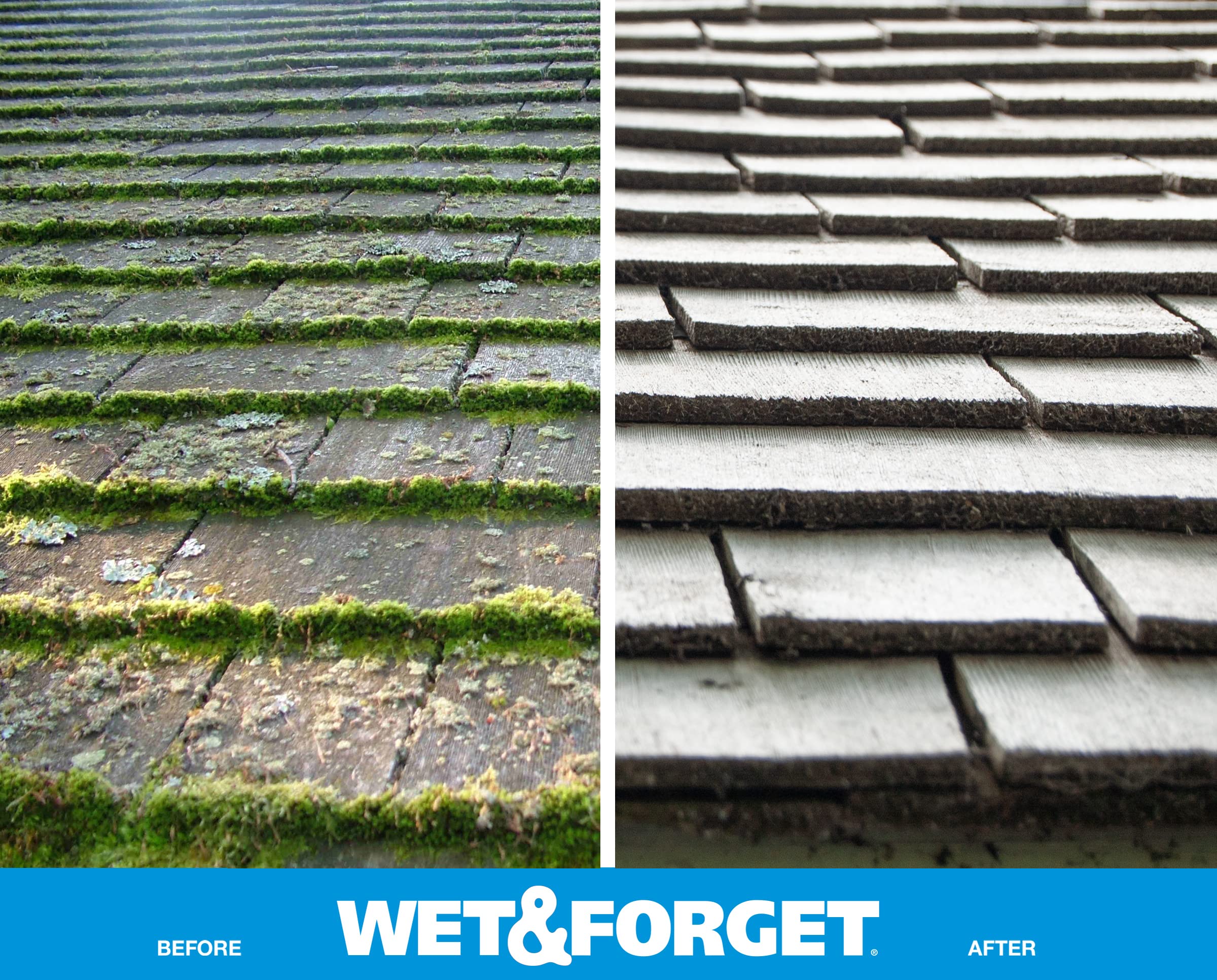 Foto 4 pulgar | Quitamanchas Wet & Forget Moss, Moho Y Algas, 3,8 L - Venta Internacional.