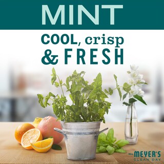 Foto 3 | Spray Limpiador Multiusos Mrs. Meyer's Clean Day Mint 500 Ml X 3 - Venta Internacional.